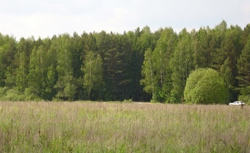 Елизарово-Park (Елизарово-Парк)