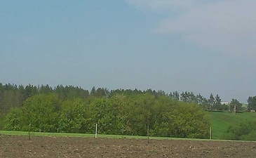 Мечта