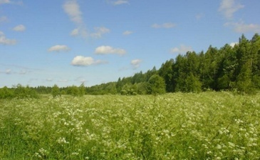 Поместье Луговое