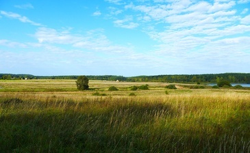 Лесицкое