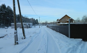 Серебряное копытце