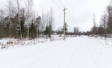 Карасаари