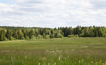 Степановское