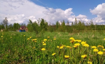 Соловьевские дачи