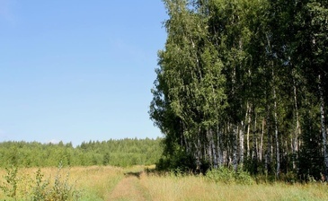 Березовая слобода