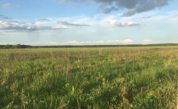 Михайловский