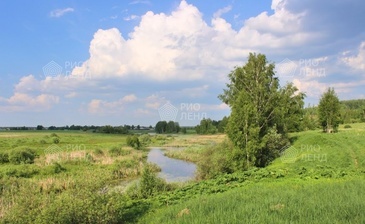 Полесье