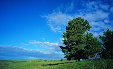 Сиренево