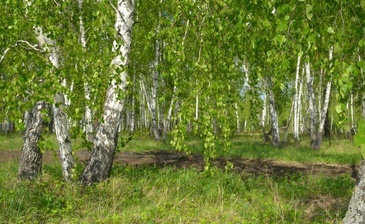 Hовые раскаты - Святогор