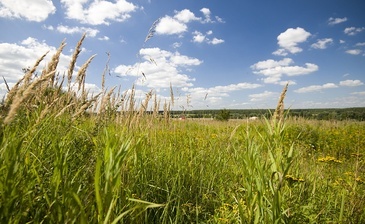 Рыболово парк