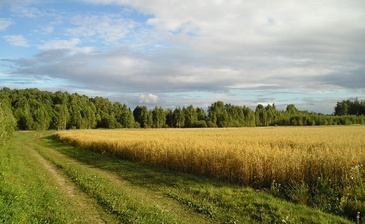 Агрокомплекс Аринино