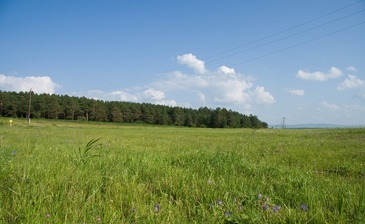 Пересвет
