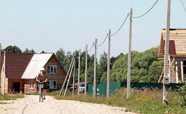 Три жеребёнка