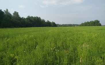 СНТ Лесной родник