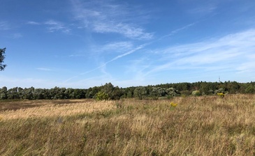 Экодеревня Лужки