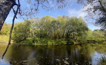 Ровки