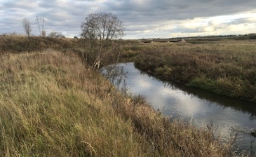 Marino Garden