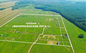 Воскресенские луга-1