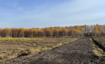 Старокупавинский Квартал