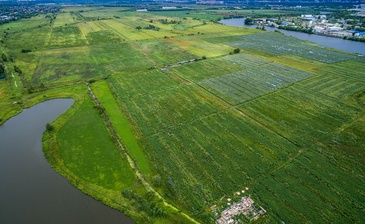 Жуковский Лайф