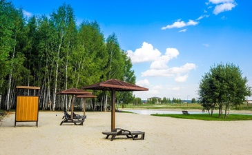 Green Forest Club (Грин Форест Клаб)