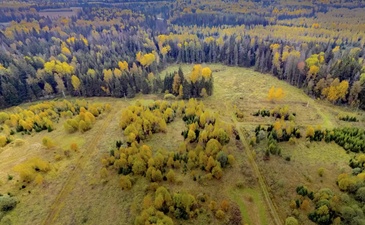 Расцветаево