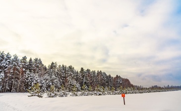 Shelkovo River