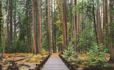 Сосновские Озера Forest Lounge