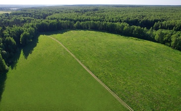 Михалево Парк