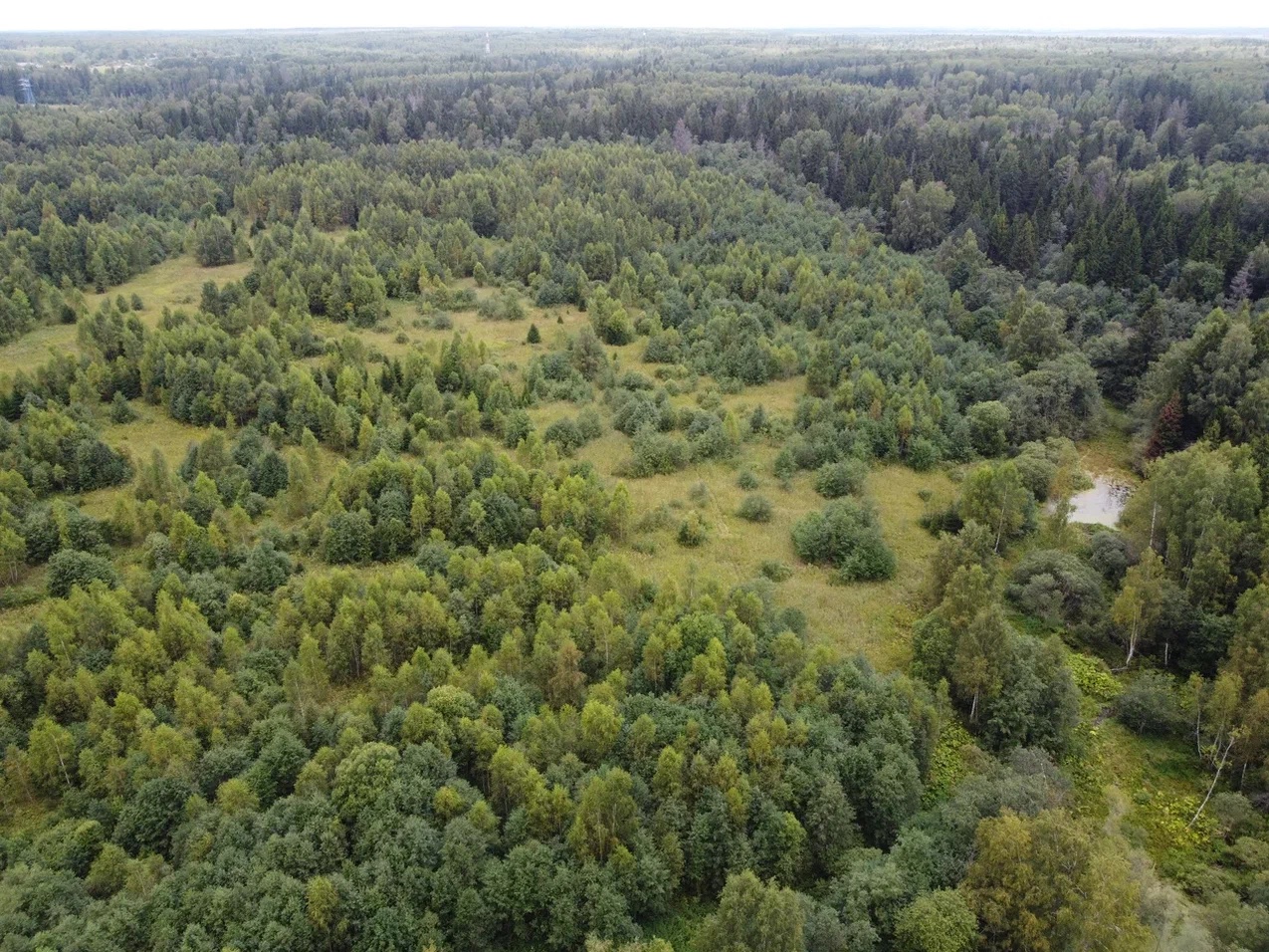 Зеленый поселок на западе Подмосковья