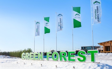 Green Forest Premium