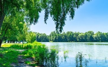 Купавинский