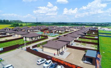 Солнечные луга