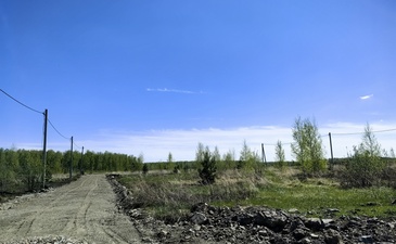 Светлый