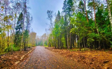 Повадино Club