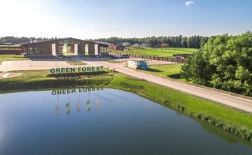 Green Forest Premium