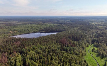 Мичурино Парк