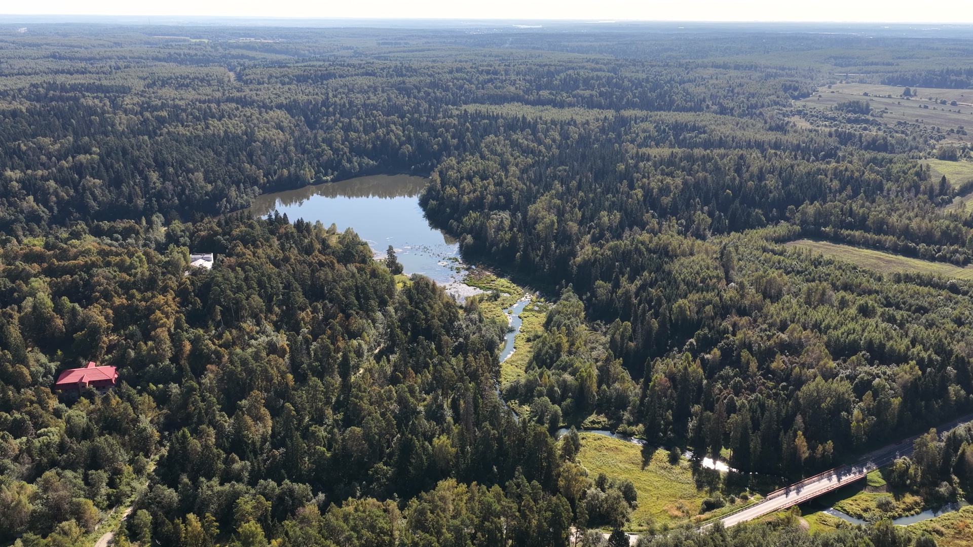 Лес, озеро, река