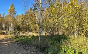 МГА