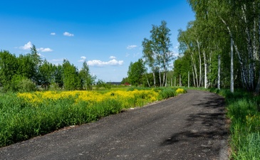 Солнечная Поляна (Давыдово-2)
