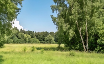 Маклинские сады