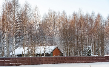 Green Forest Club (Грин Форест Клаб)