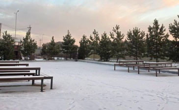 Светлая поляна