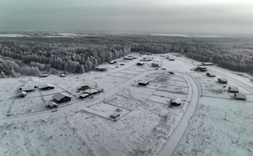 Лесной берег