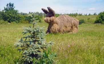 Ванберри Вилладж