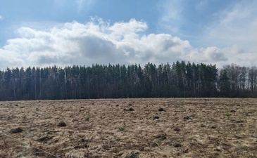Опушкино 3