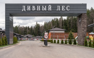 Дивный Лес