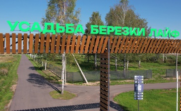 Березки Лайф