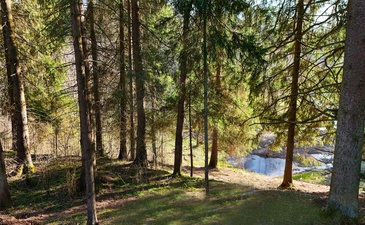 РигаЛес