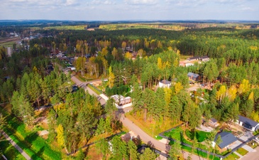 Медвежата
